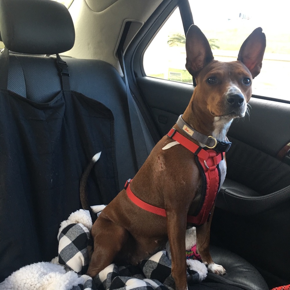 Meet your Posher, Kim